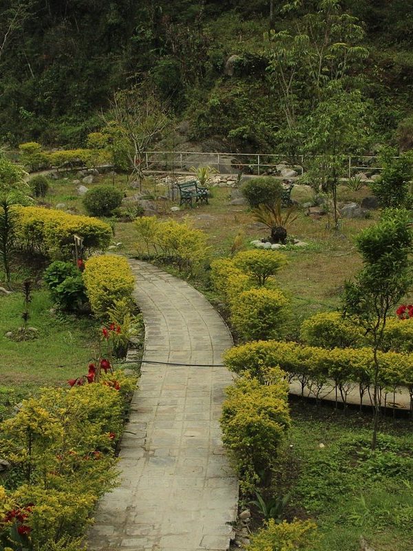 sewaro-rock-garden1